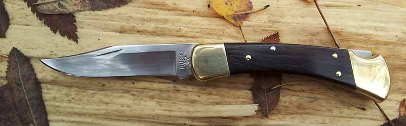 Buck 110 Folding Hunter Review