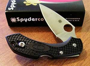 Spyderco Dragonfly 2